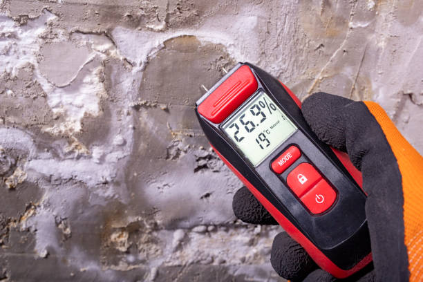 Best Attic Mold Removal  in North Haledon, NJ