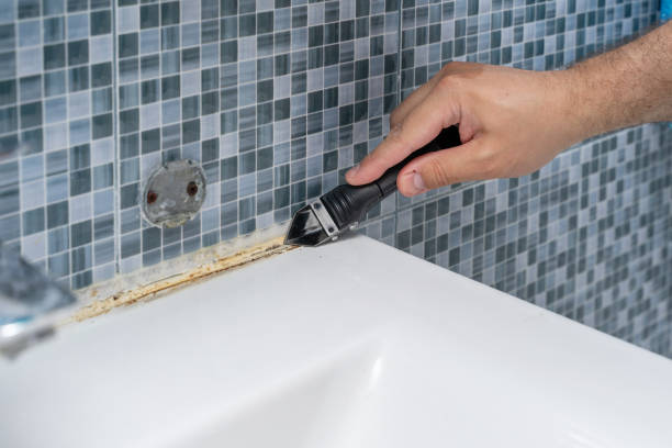 Reliable North Haledon, NJ Mold Removal Solutions