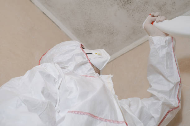Best Mold Removal Near Me  in North Haledon, NJ